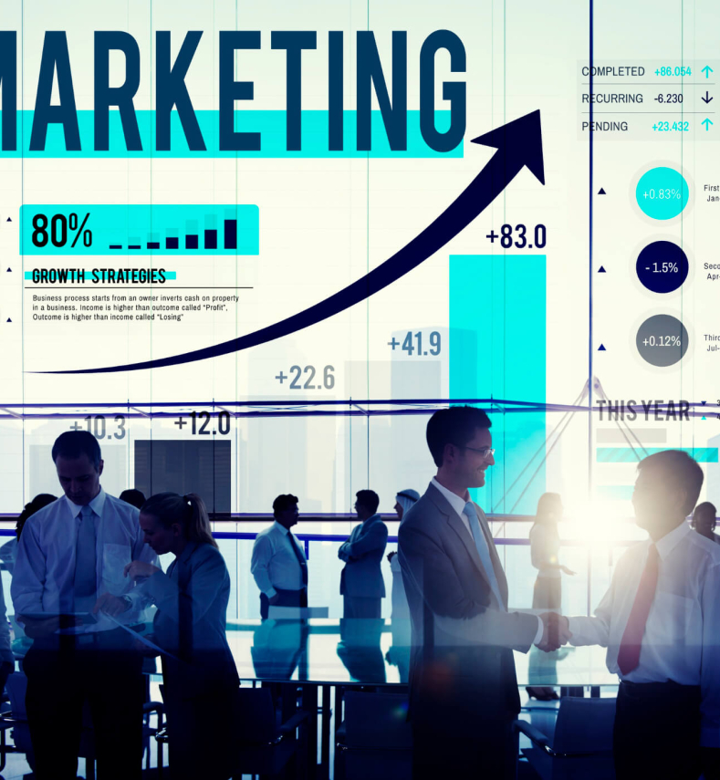 Marketing & Distribution